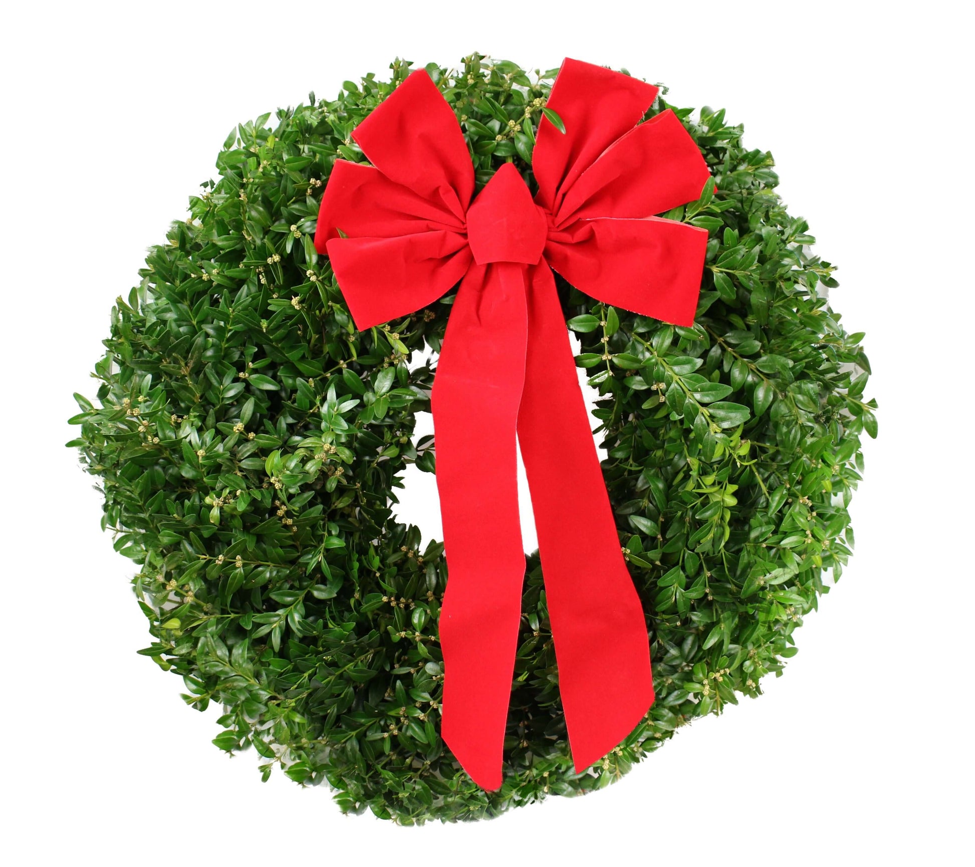 22inboxwoodwreathwbow2.jpg Wishon Evergreens