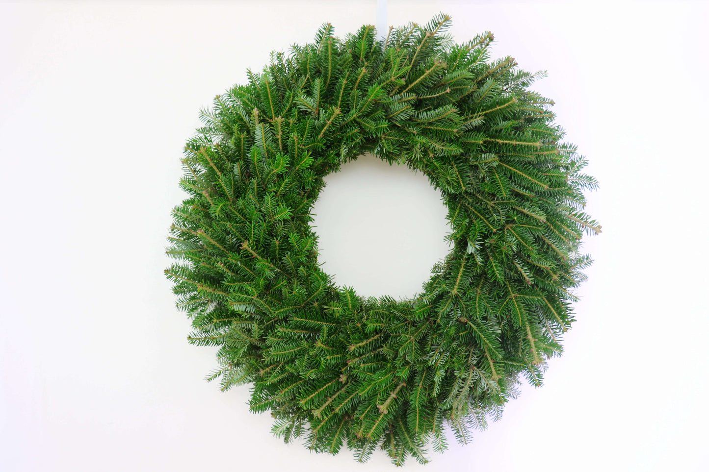 28FraserFirWreath.jpg Wishon Evergreens