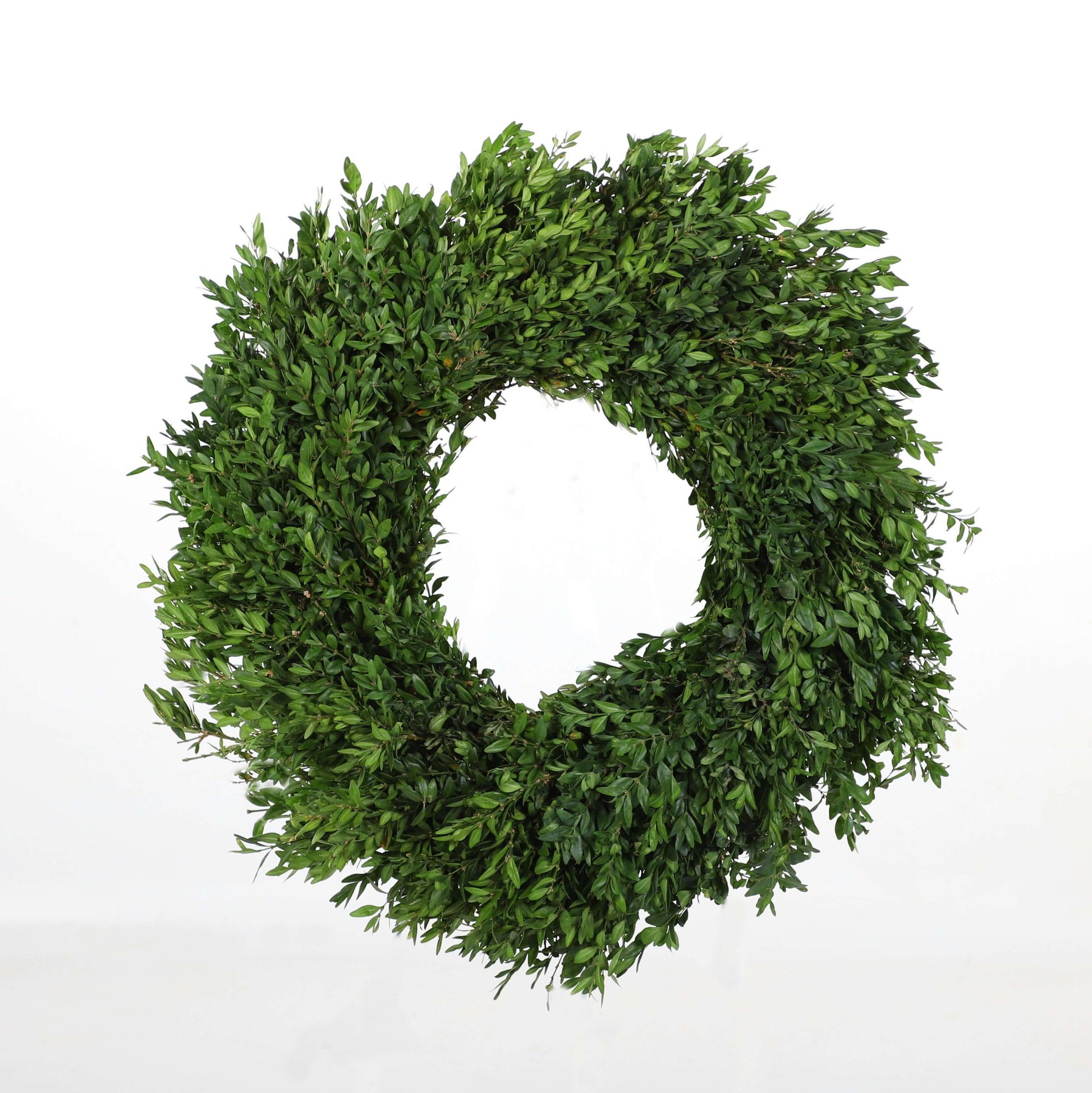 BoxwoodWreathPlain.jpg Wishon Evergreens