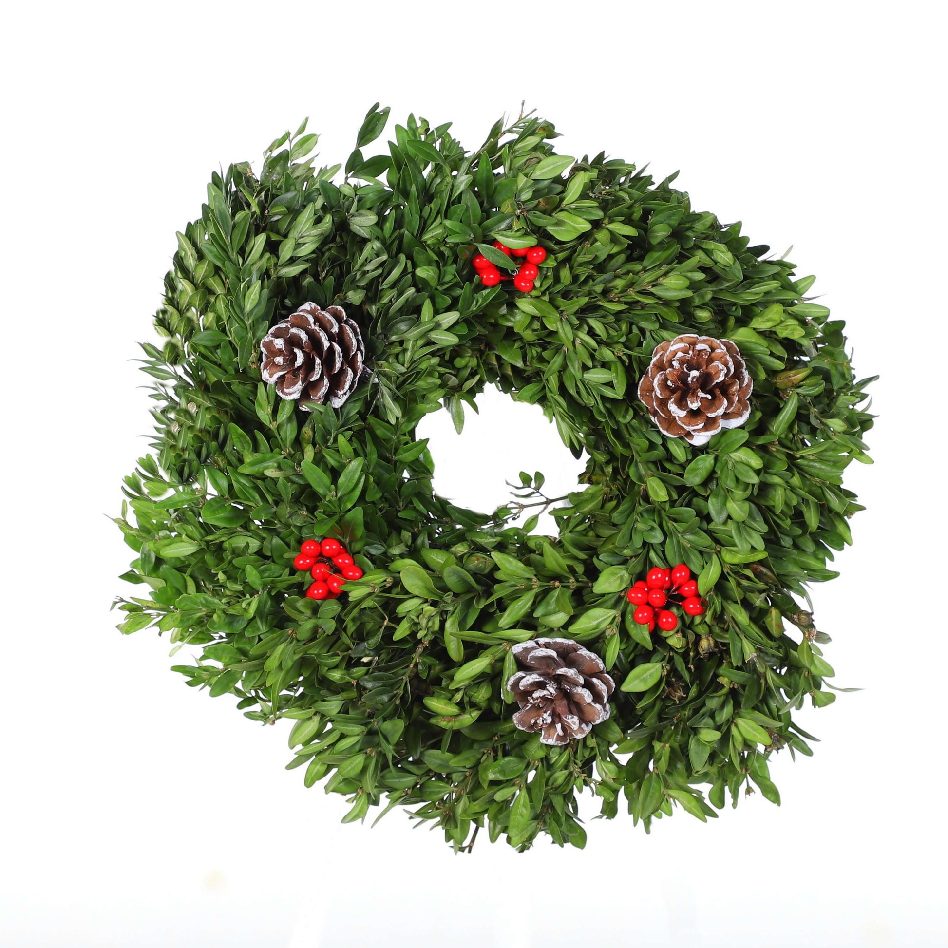 BoxwoodcandleringDecorated.jpg Wishon Evergreens