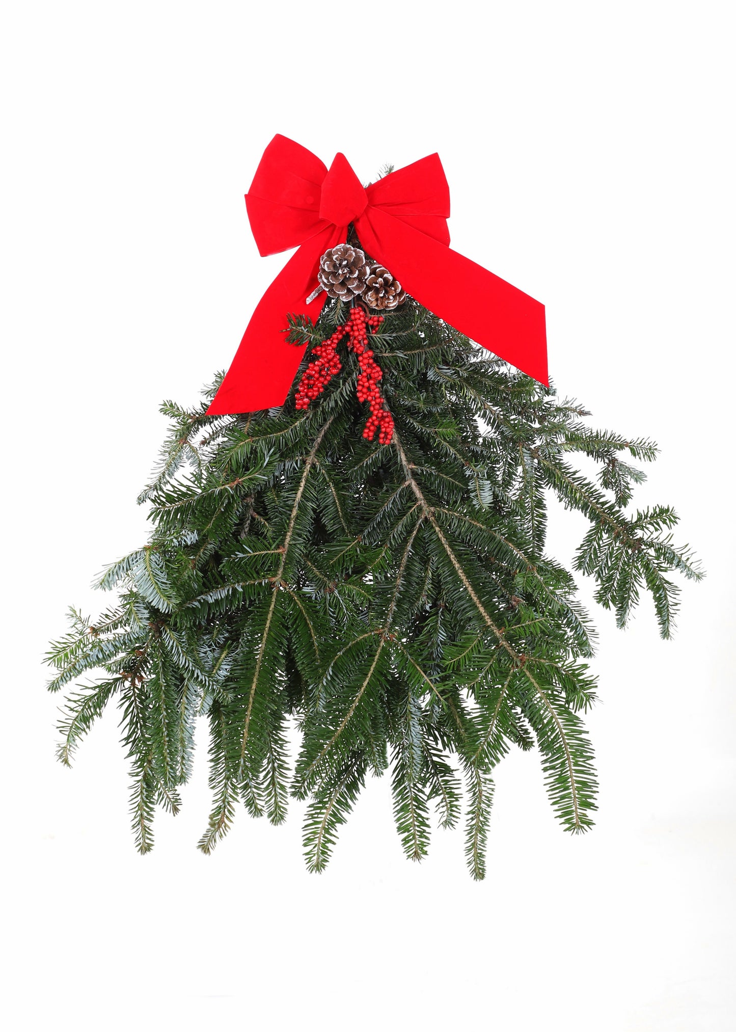 FraserFirDoorswag.jpg Wishon Evergreens