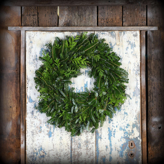 FraserFir_Cedar.jpg Wishon Evergreens