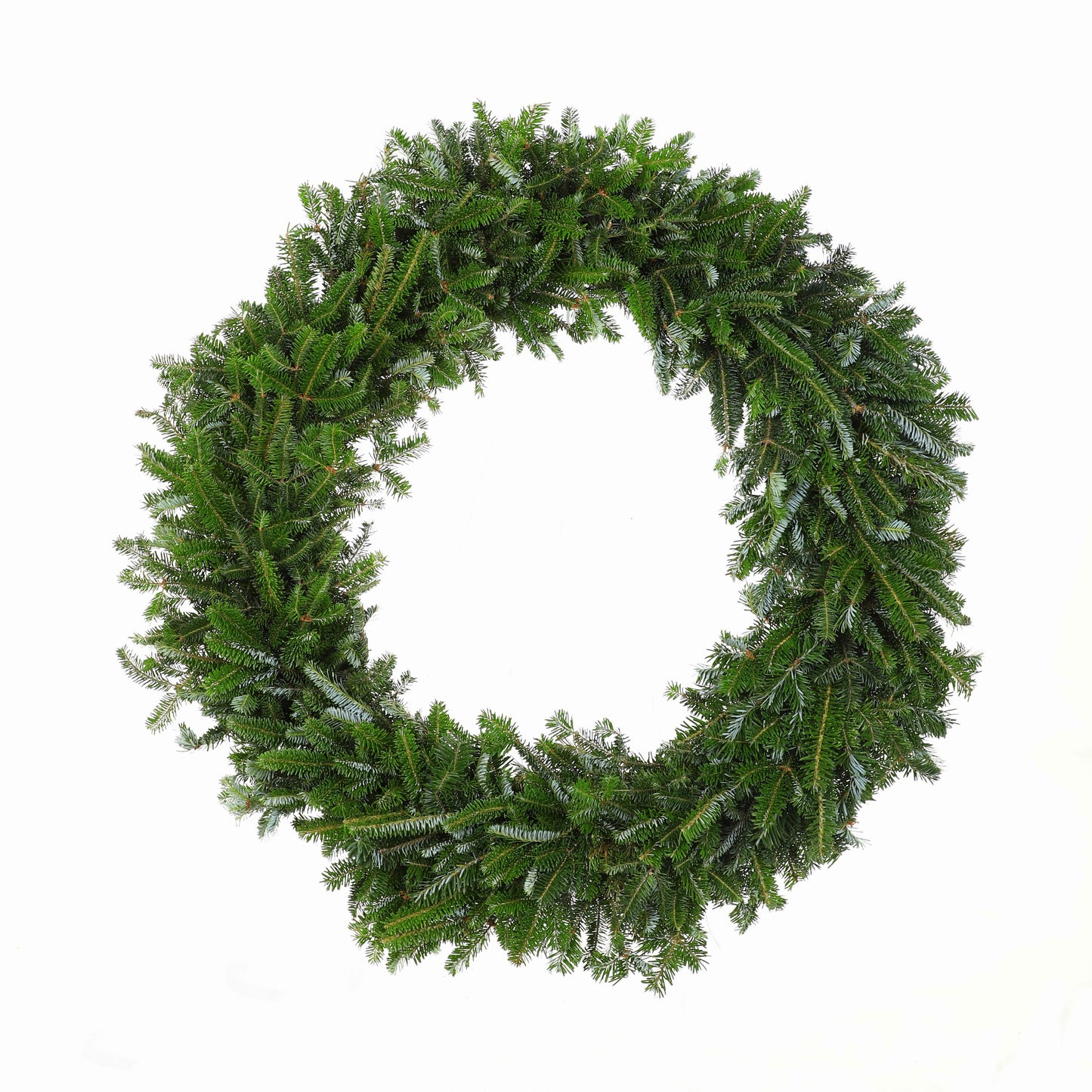 LargePremiumFraserFir.jpg Wishon Evergreens