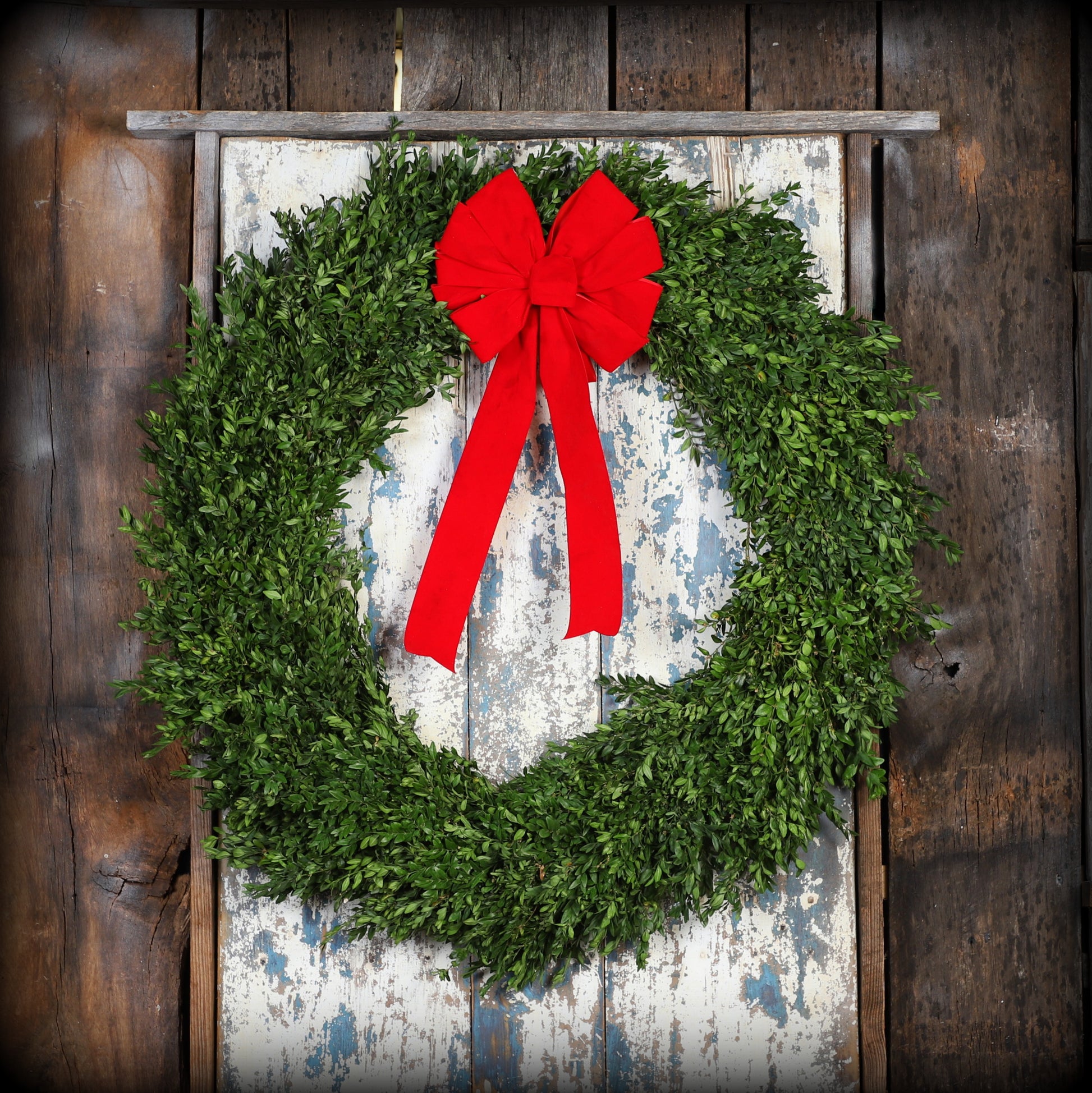 Largeboxwoodwreath_redbow.jpg Wishon Evergreens