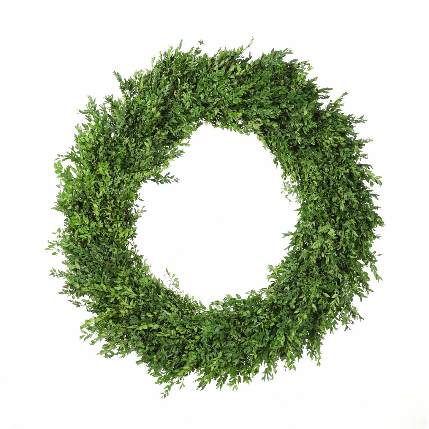 Fresh Boxwood - Christmas Wreath