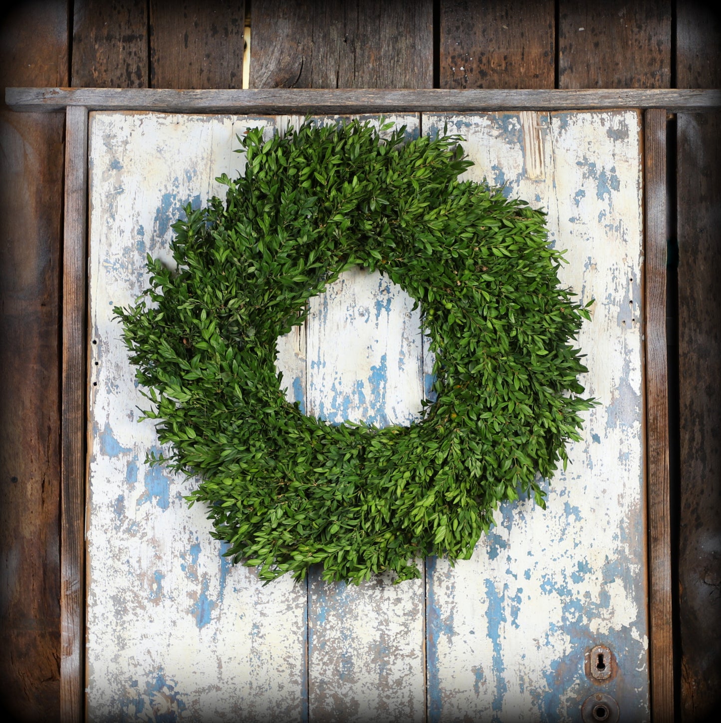 PremiumBoxwoodWreath_plain.jpg Wishon Evergreens