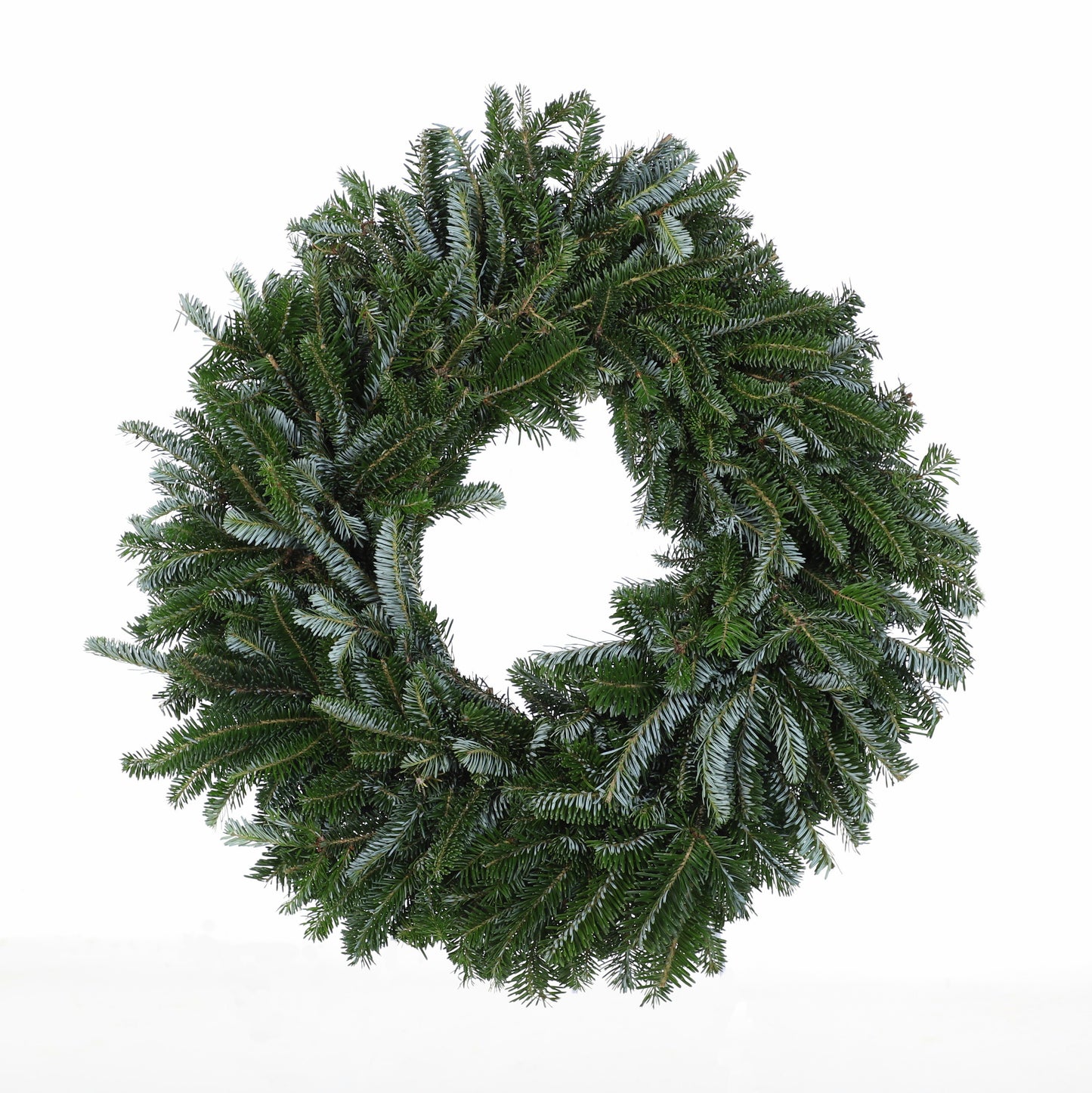 PremiumFraser.jpg Wishon Evergreens