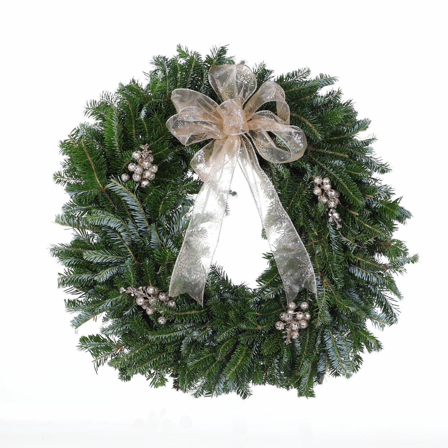 PremiumFraserFirChampagneBerry.jpg Wishon Evergreens