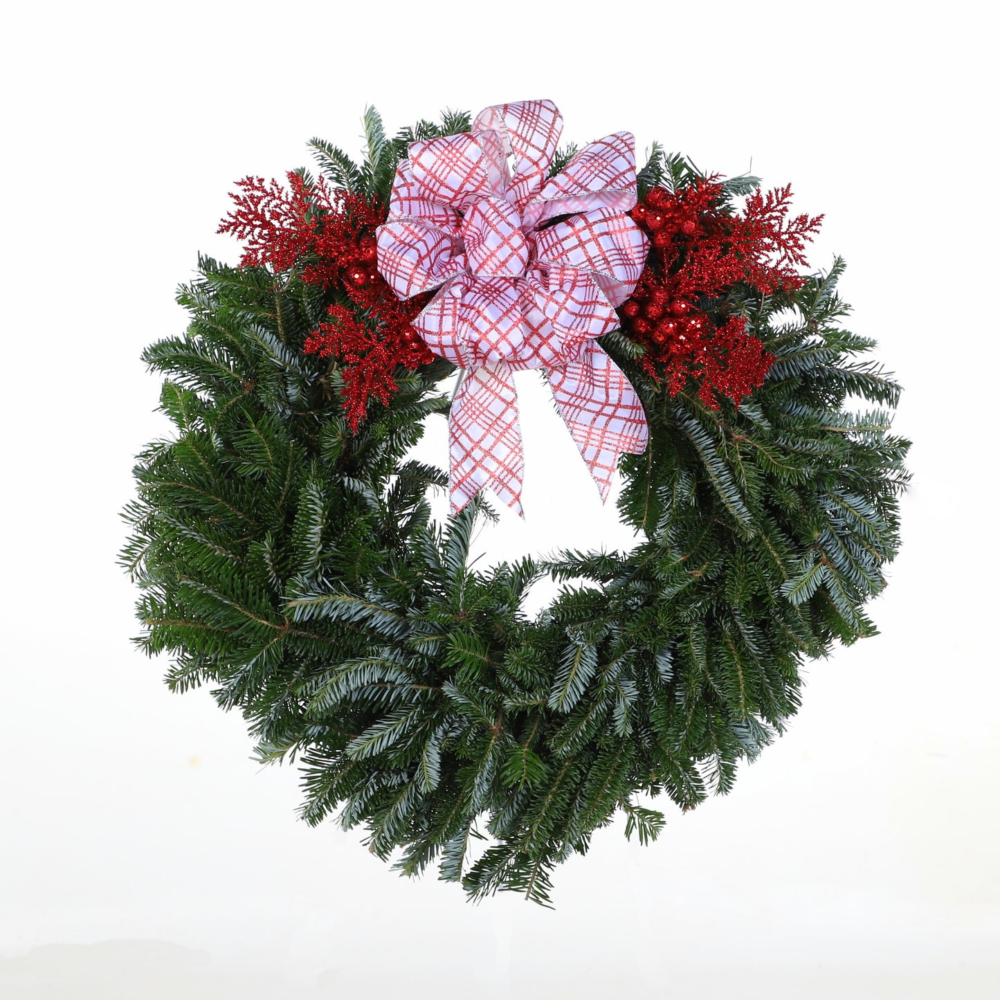 PremiumFraserFirRubyRed.jpg Wishon Evergreens