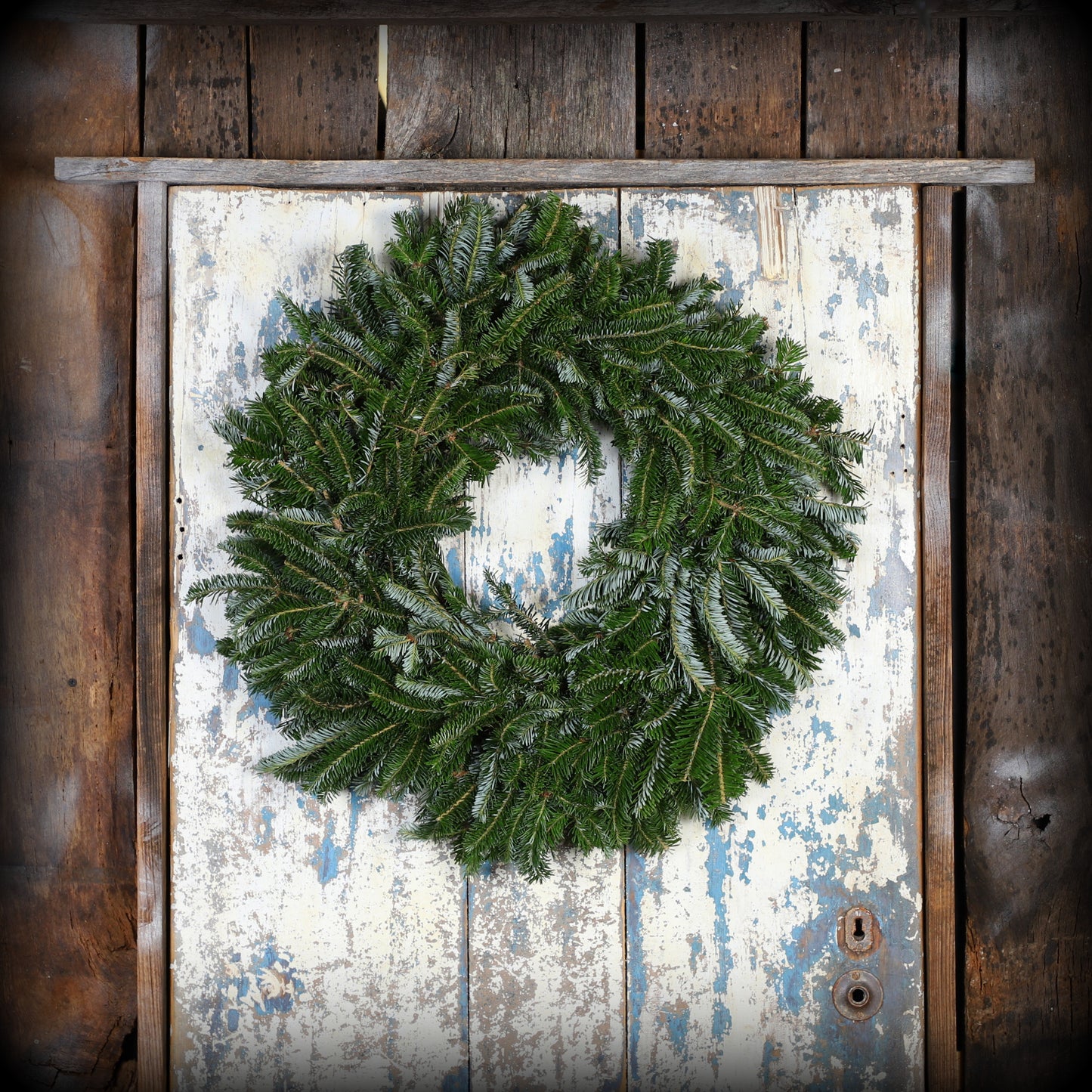 PremiumFraserFir_2.jpg Wishon Evergreens