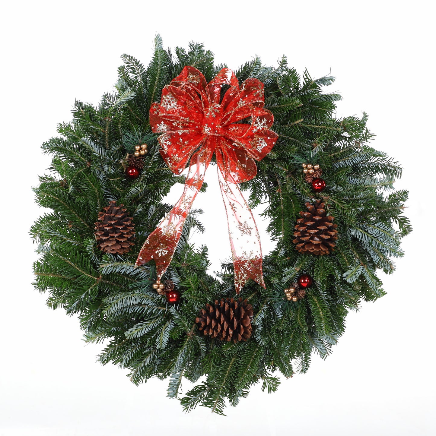 PremiumFraserfir_RedandgoldNatural..jpg Wishon Evergreens