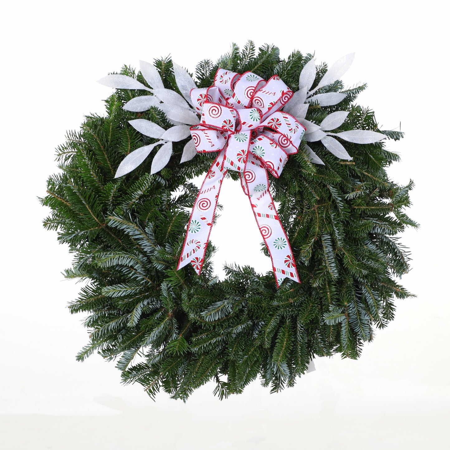 Premium_FraserCandy.jpg Wishon Evergreens