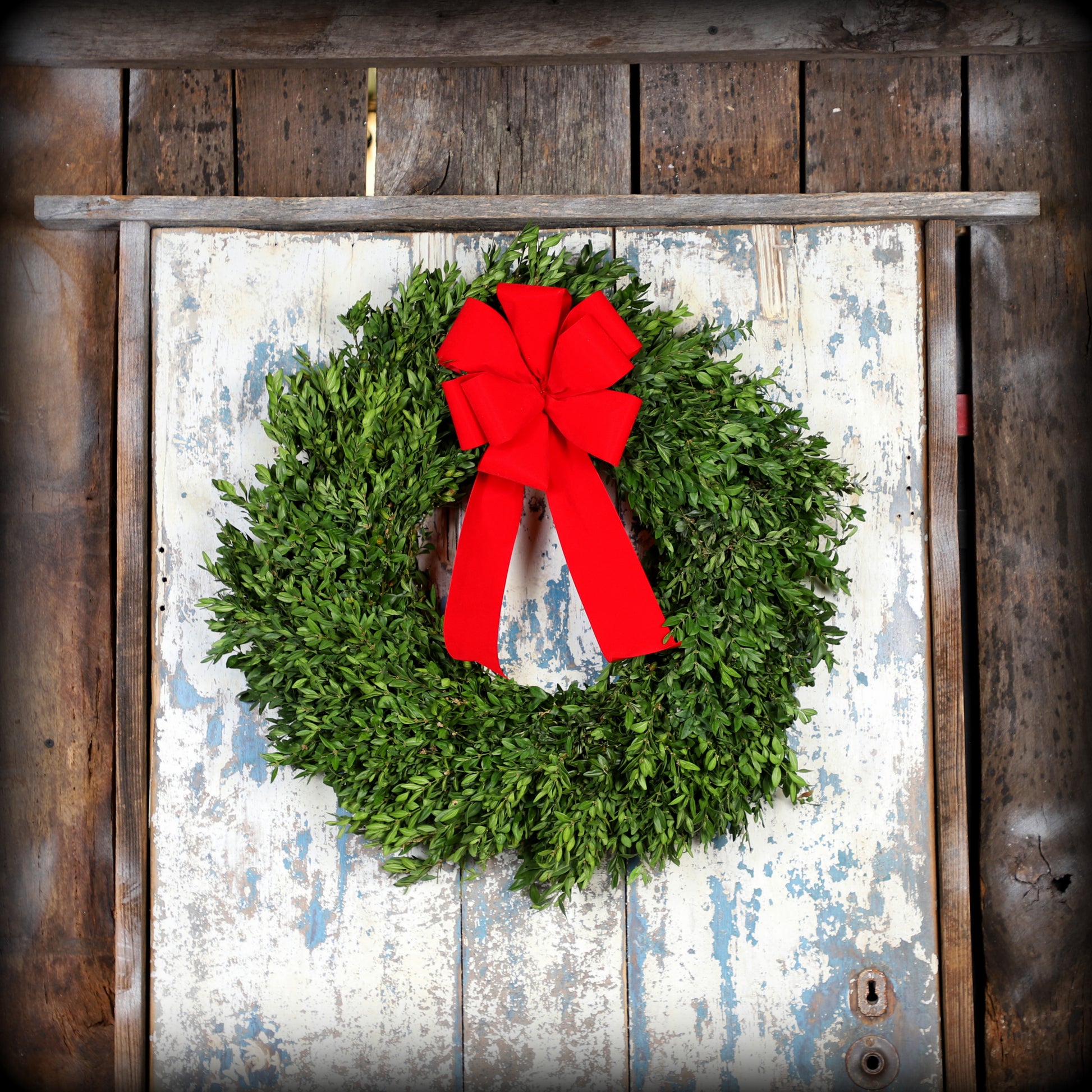 Premiumboxwoodwreath_redbow.jpg Wishon Evergreens