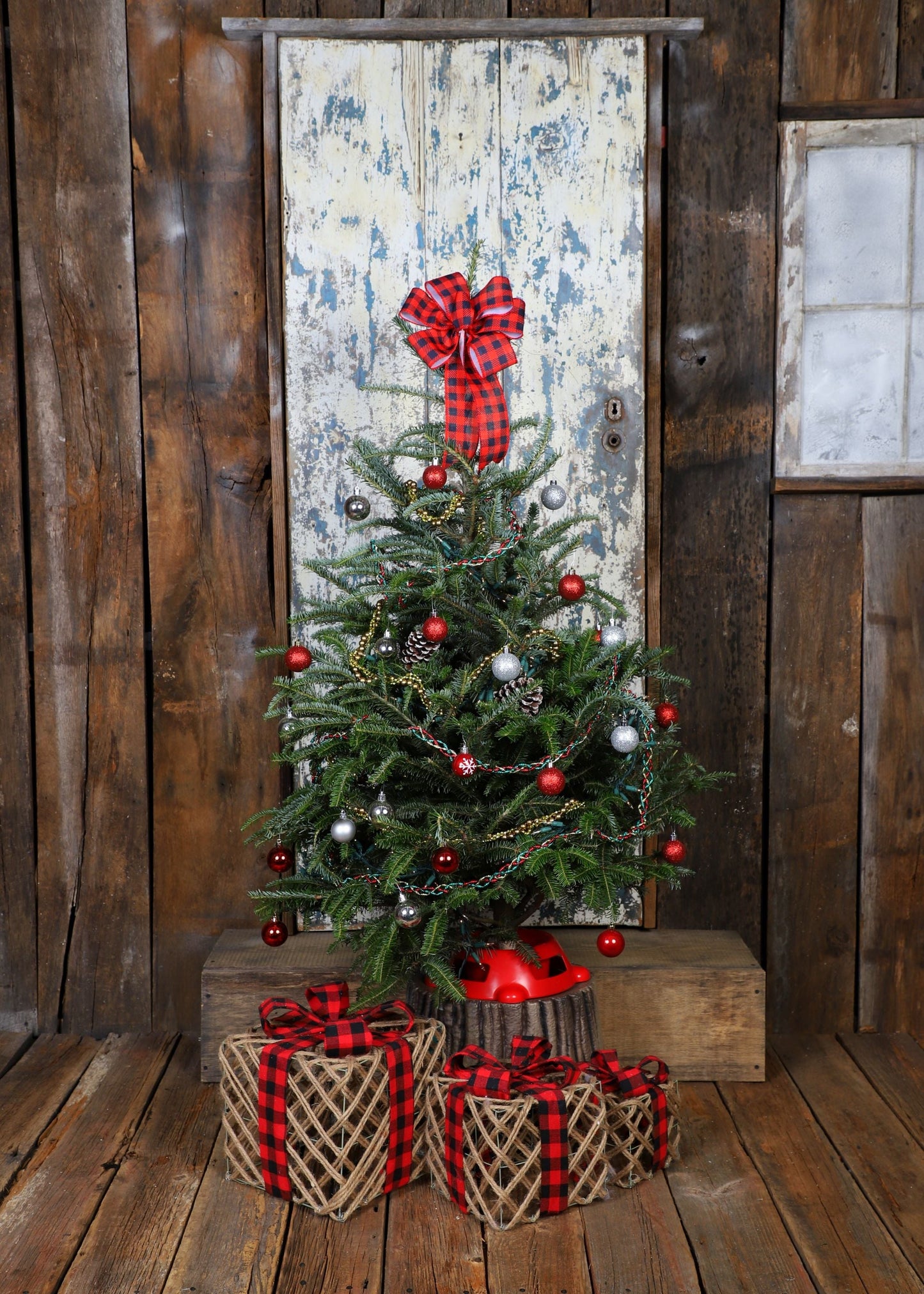 TabletopFraserFirDecoratedcopy_f593eaac-b0d5-4392-a218-a751af70c96d.jpg Wishon Evergreens