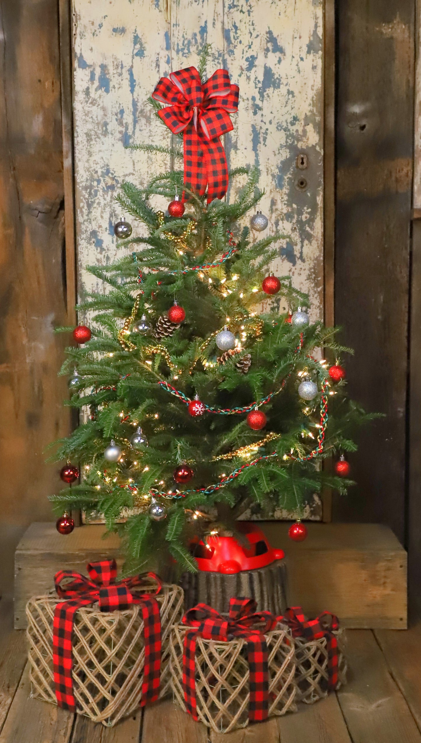 TabletopFraserFirDecoratedwithlights.jpg Wishon Evergreens