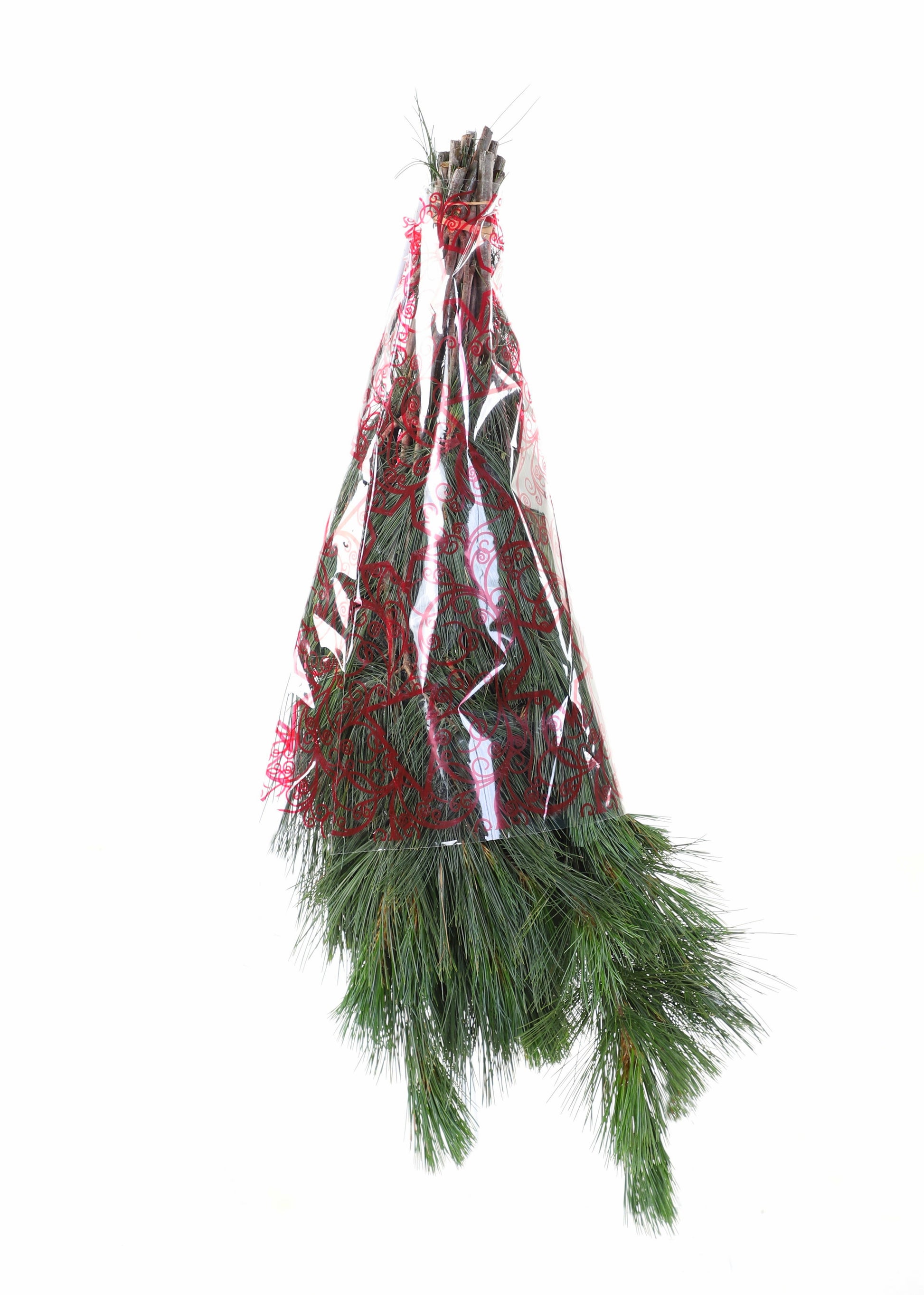 WhitePineBunchwithsleeve.jpg Wishon Evergreens