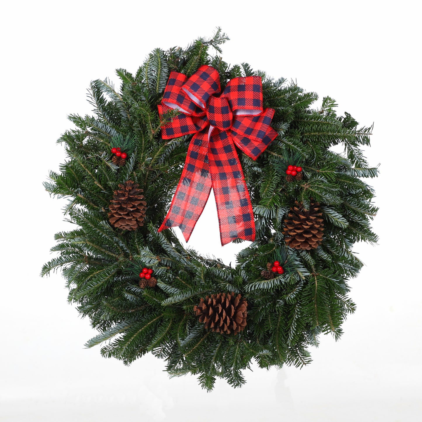 FraserFirCountryPine.jpg Wishon Evergreens