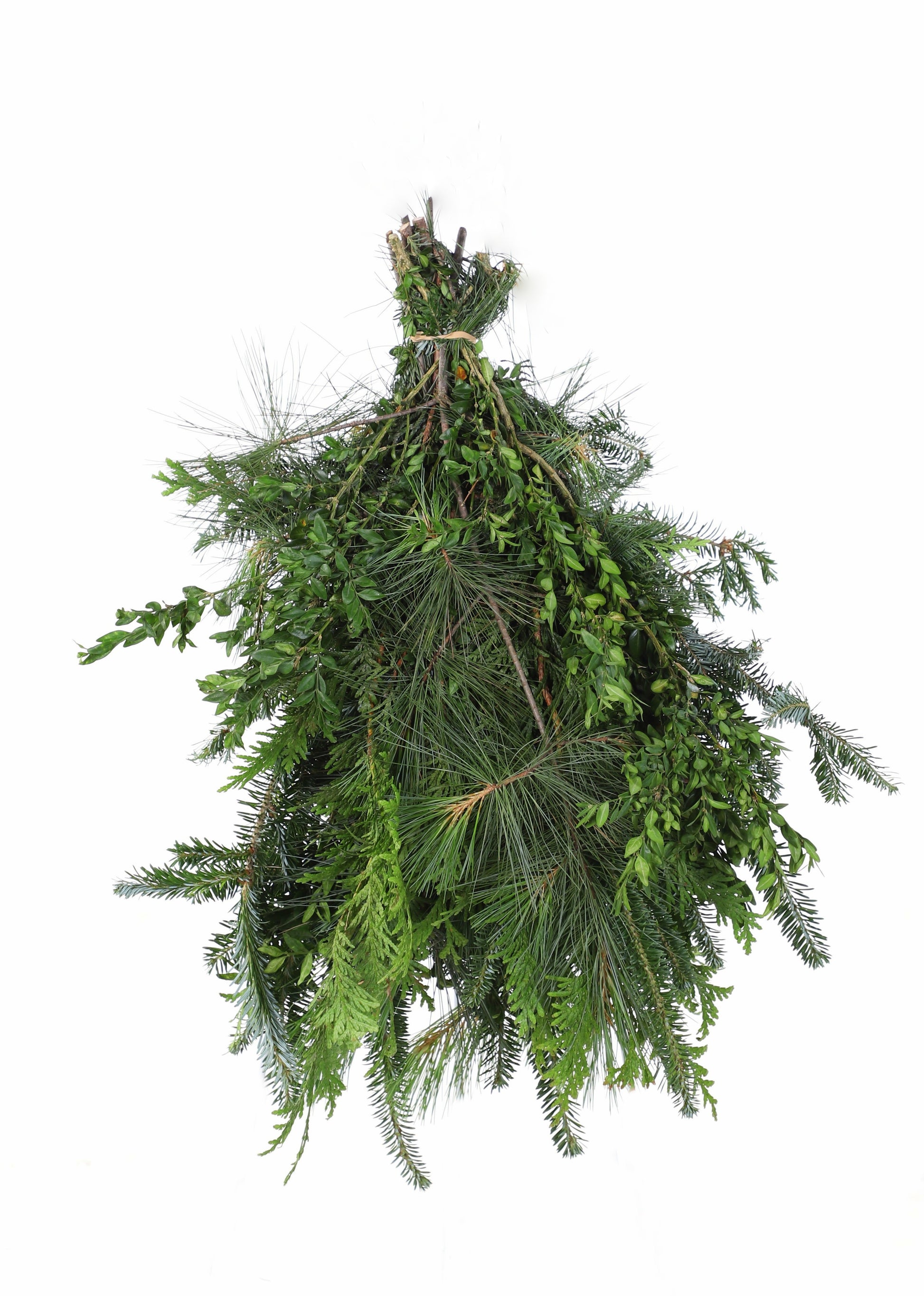 PreiumMixedBunch.jpg Wishon Evergreens