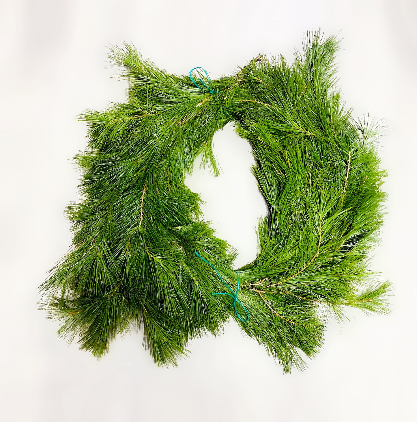 WhitePineGarlandRoll.jpg Wishon Evergreens