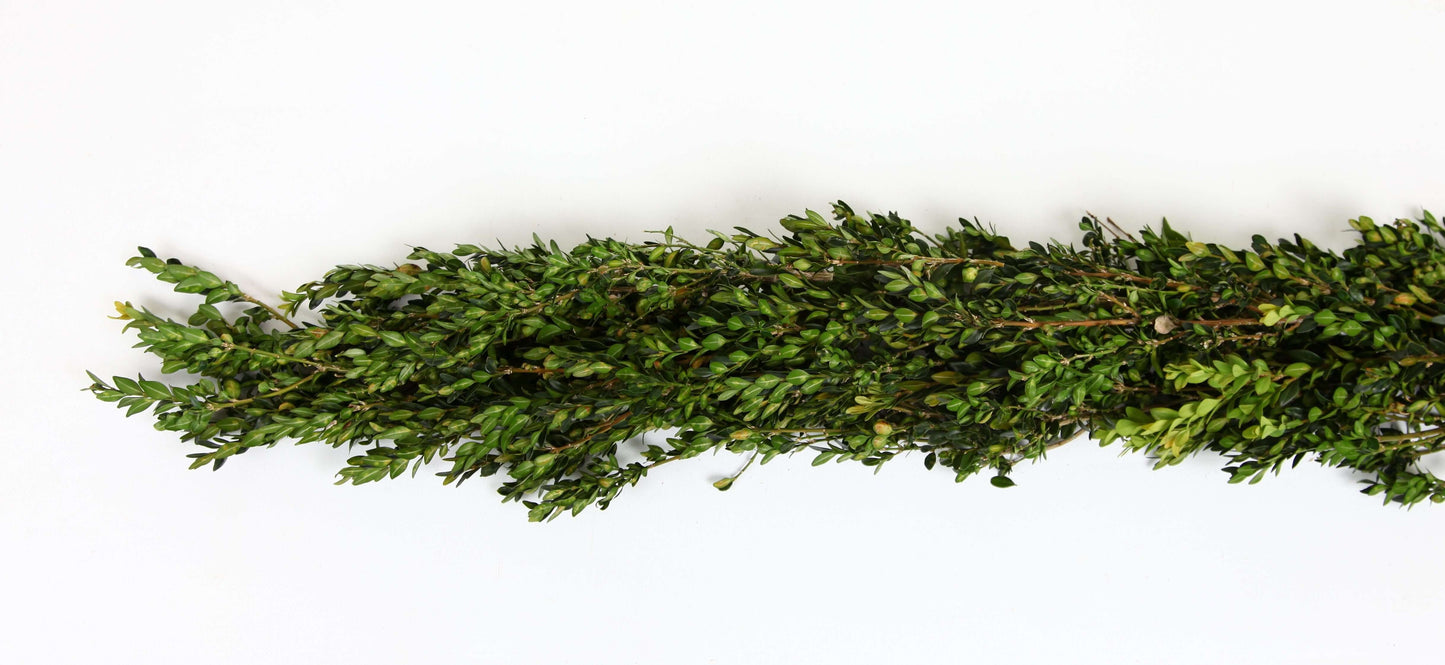 bxroping.jpg Wishon Evergreens