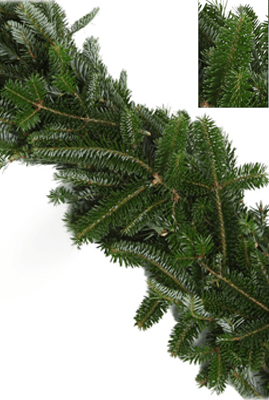 fraser-fir-garland.png Wishon Evergreens