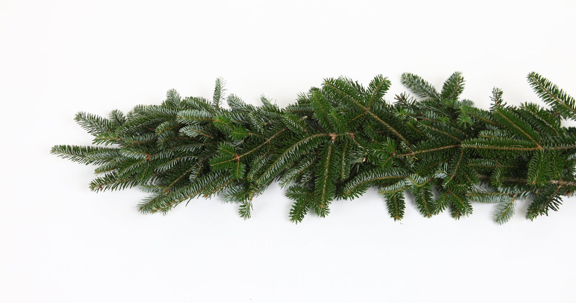 fraserfirgarland.jpg Wishon Evergreens