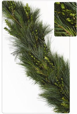 mixed_boxwood-pine_garland_810526f2-2ba8-47f3-b060-477d4b1aa100.jpg Wishon Evergreens