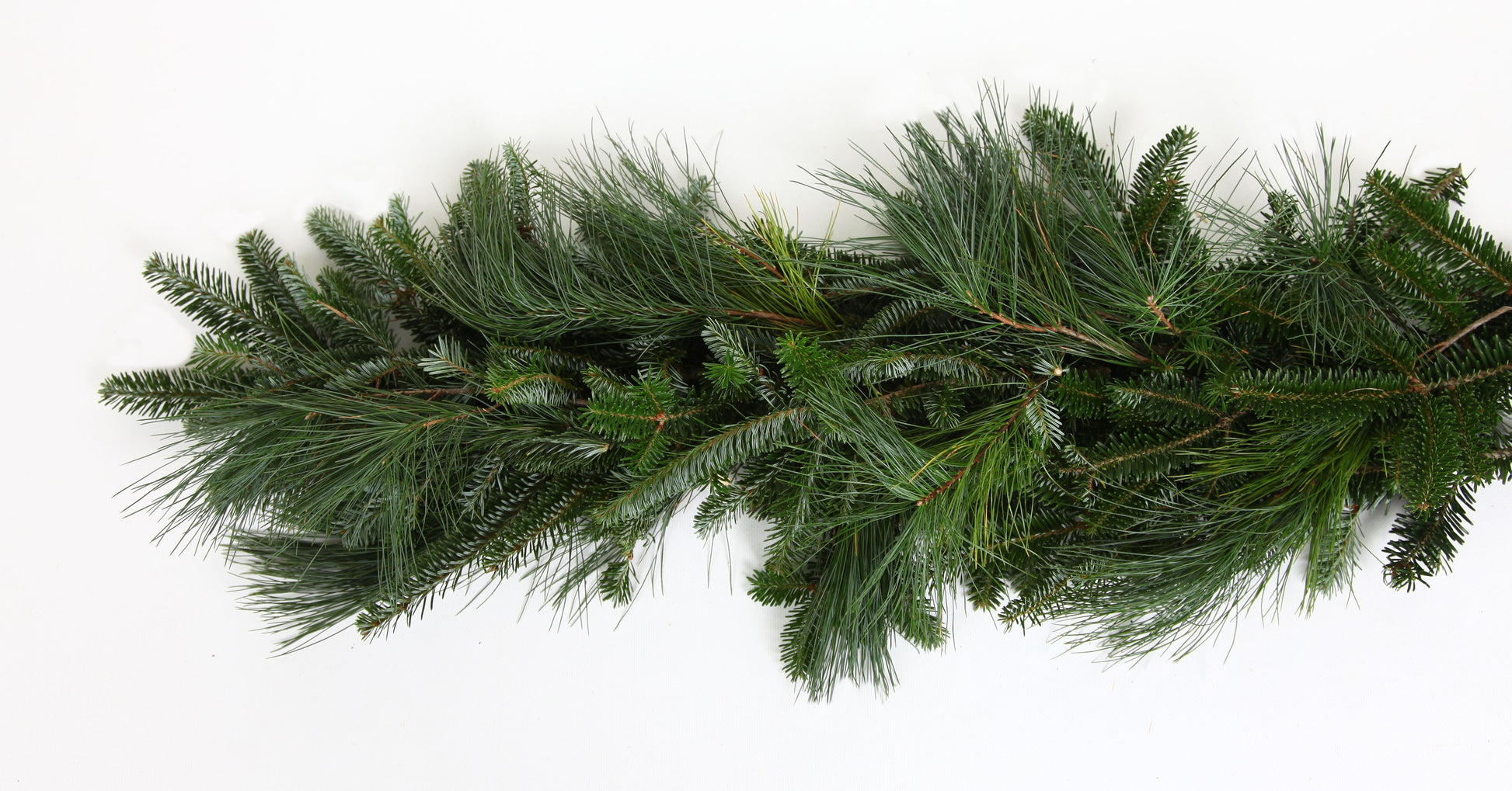 mixropingffwp.jpg Wishon Evergreens