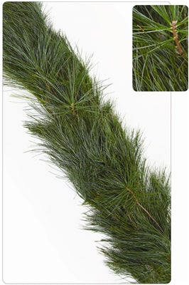 white_pine_garland_f78eafdb-7dc4-4876-9704-735e0db0a417.jpg Wishon Evergreens
