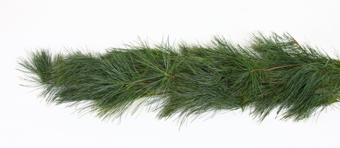 whitepinegarland_17c314c3-e59d-482a-9367-73ebe3db8e03.jpg Wishon Evergreens