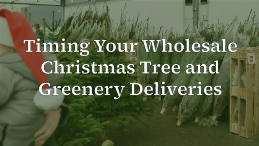 Christmas Tree Delivery Timings for Retailers