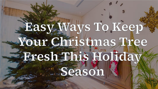Easy Ways To Keep Your Christmas Tree Fresh This Holiday Season