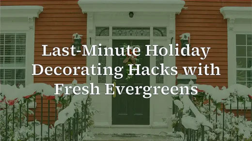 Last-Minute Holiday Decorating Hacks with Fresh Evergreens