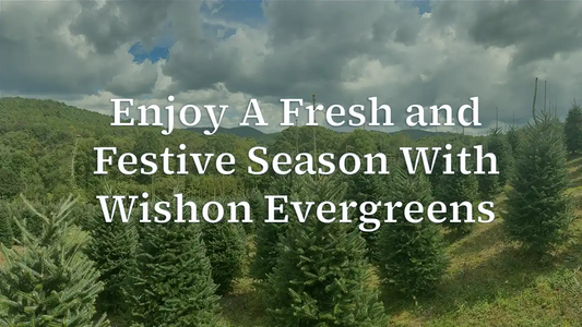 Pre-Order Festive Holiday Decorations with Wishon Evergreens