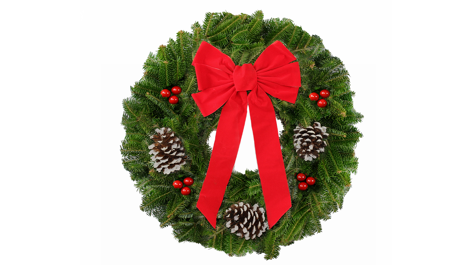 22 inch Fraser Fir Wholesale Christmas Wreath, Decorated
