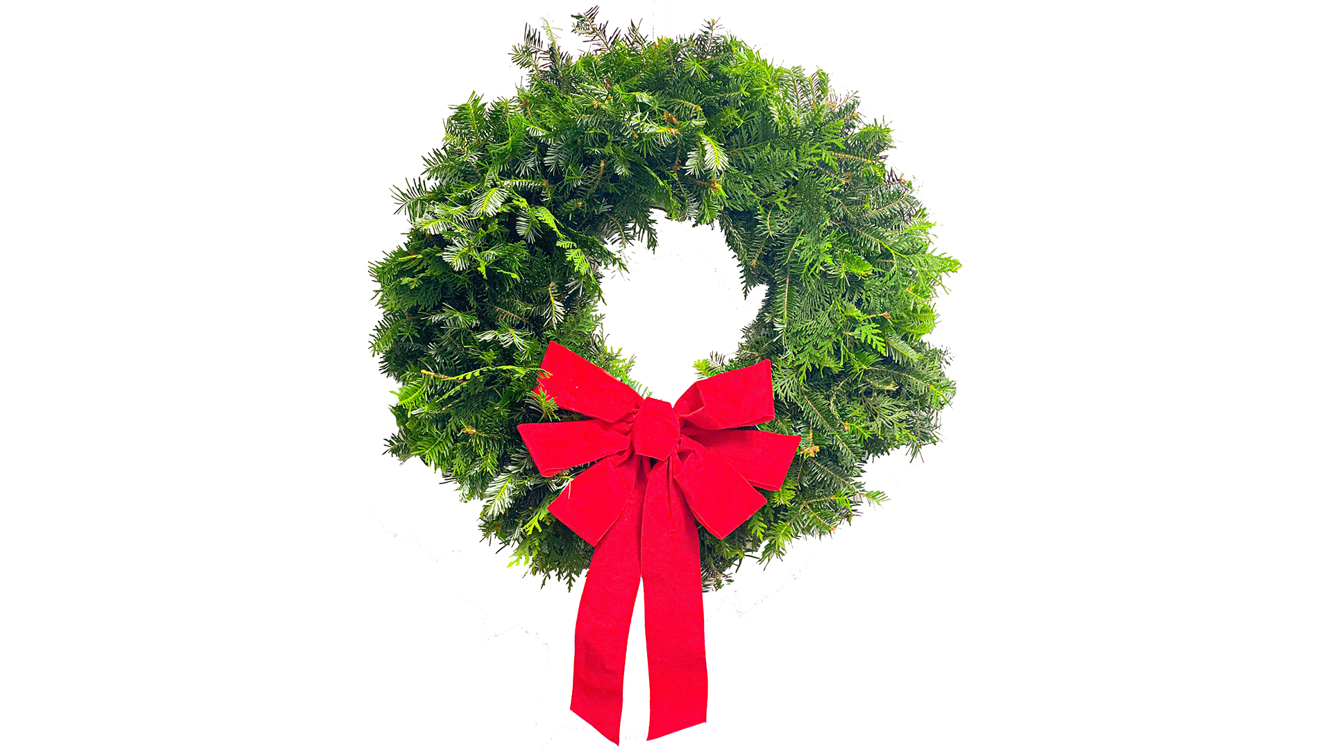 26 inch Premium Mixed Fraser Cedar Wholesale Christmas Wreath with Bow