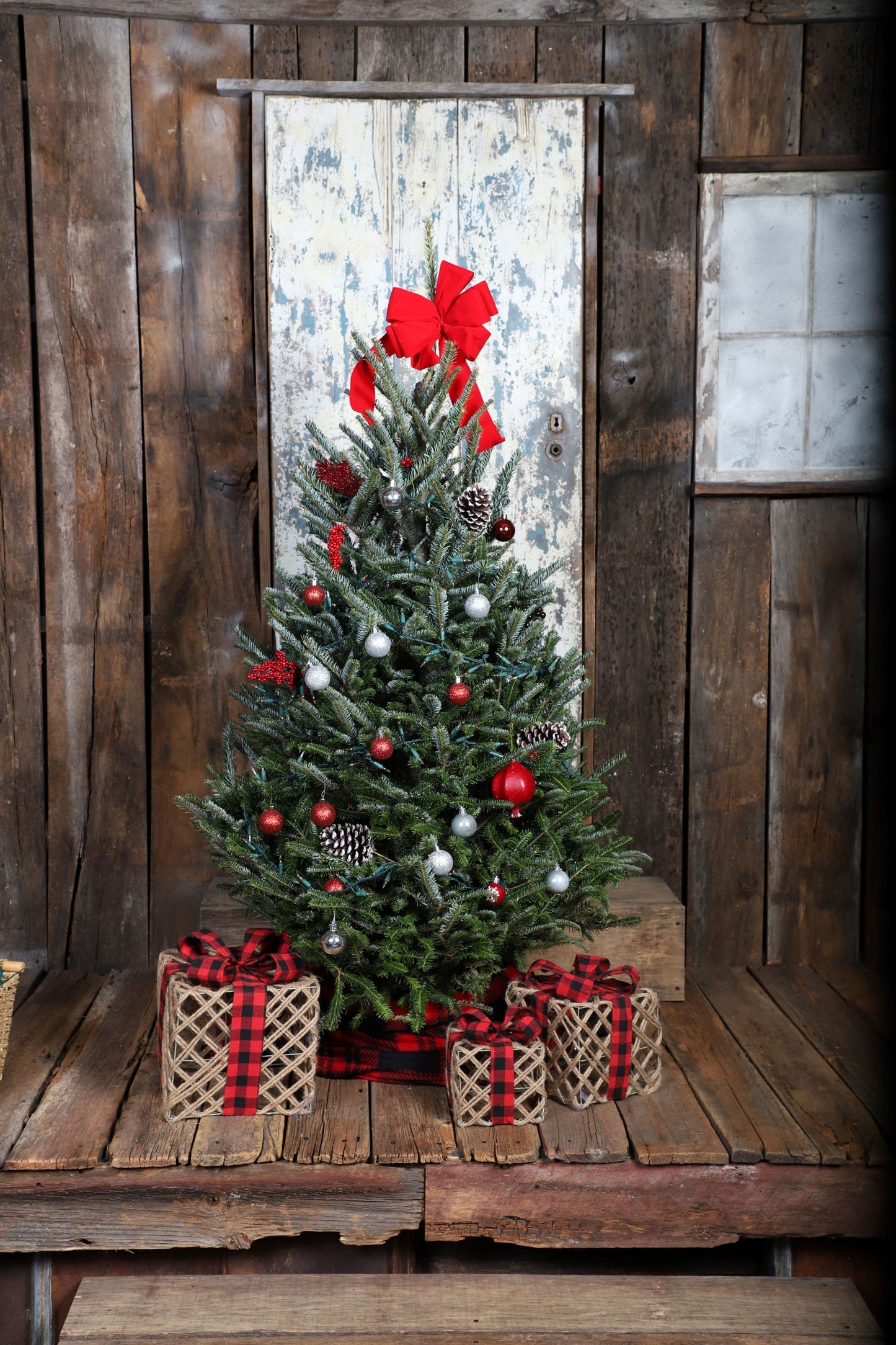 Fresh 4 - 5 ft Fresh-Cut Premium-Grade Fraser Fir Christmas Tree