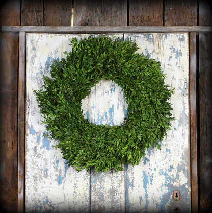Fresh Boxwood - Christmas Wreath