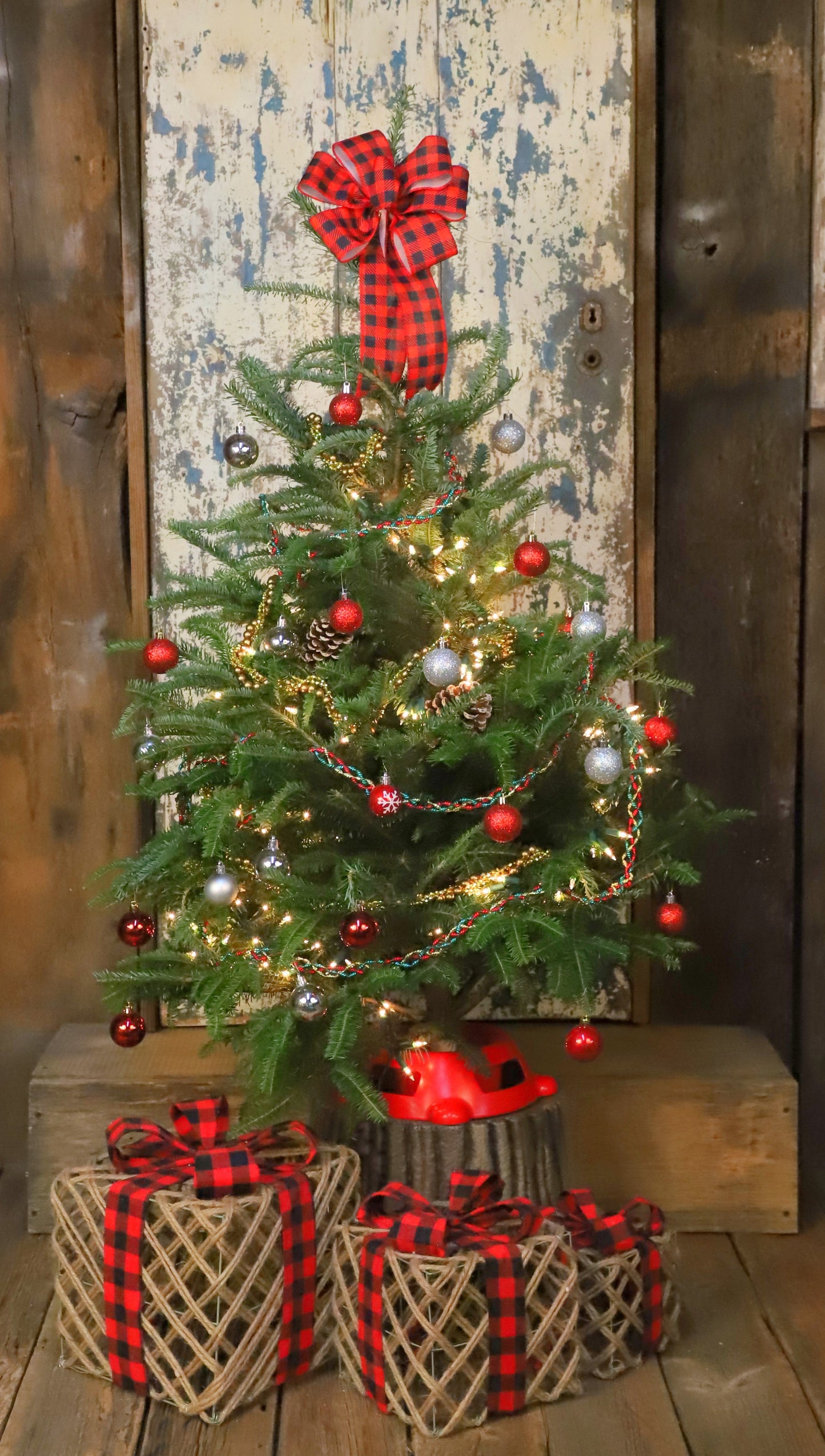 Fresh 3 - 4 ft Fresh-Cut Premium-Grade Table Top Fraser Fir Christmas Tree
