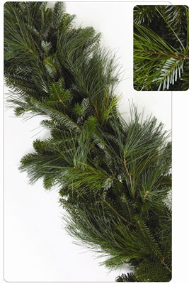 Fresh Mixed Fraser Fir and White Pine Christmas Garland