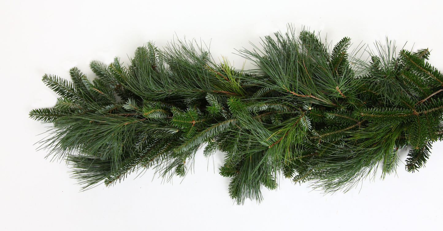 Fresh Mixed Fraser Fir, Red Cedar, White Pine Christmas Garland