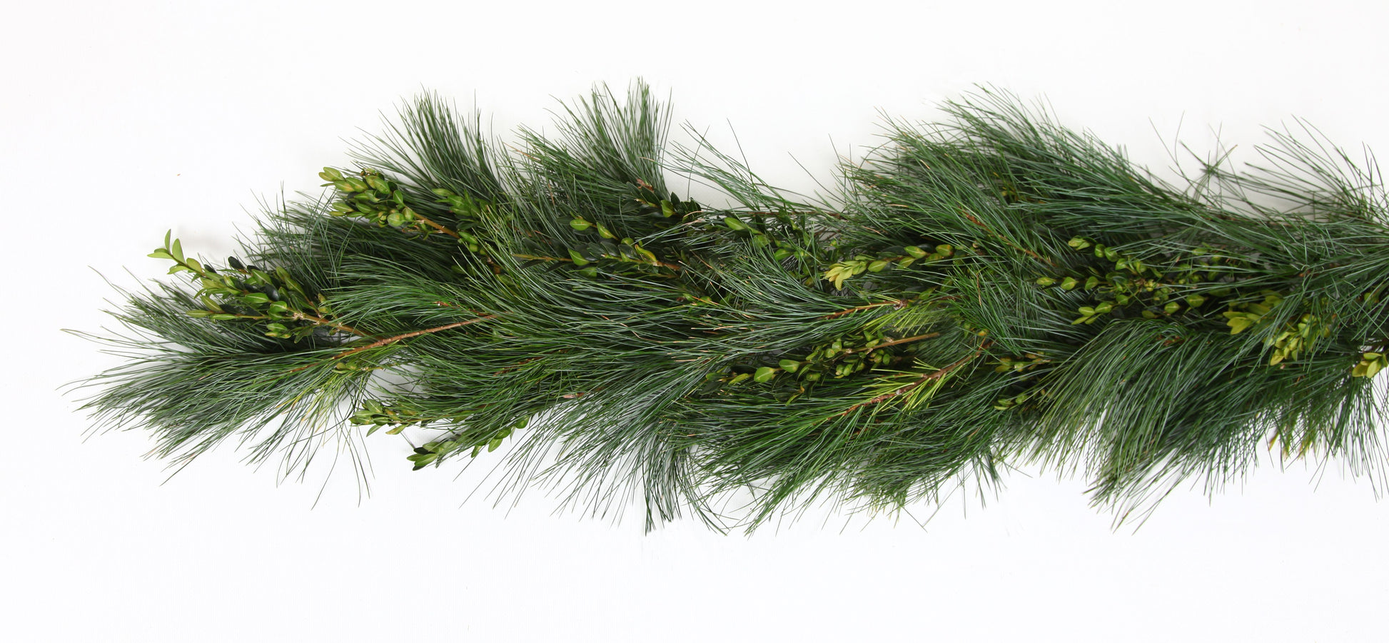 25 Fresh Cut Pine Branches Natural Pine Needles Green Garland Pine